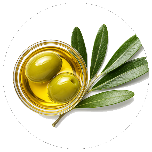 Omega-3 & Omega-6 fatty acids